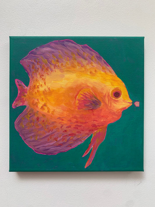 Colorful fish painting on a teal background