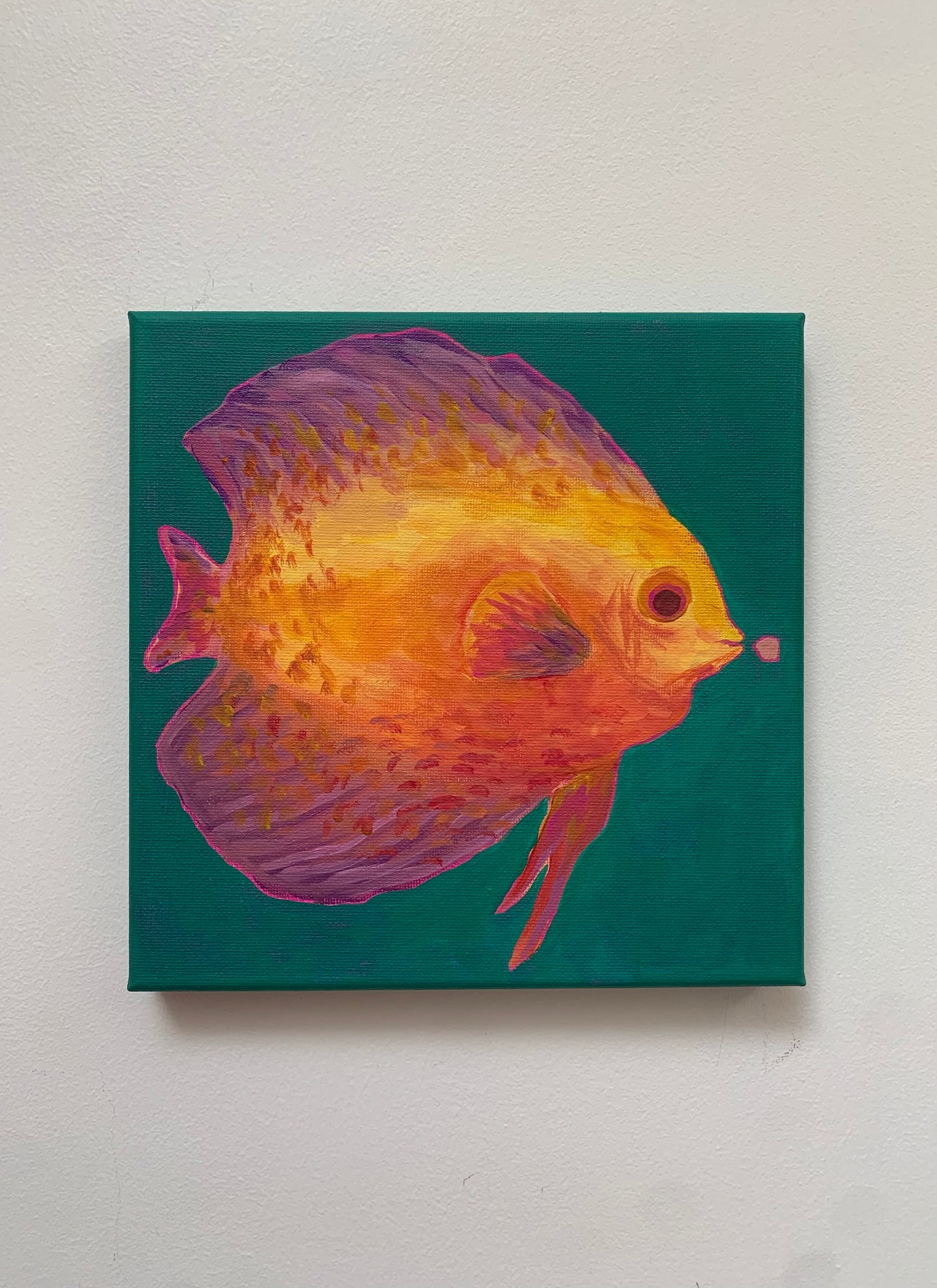 Canvas painting of a colorful fish on a teal background