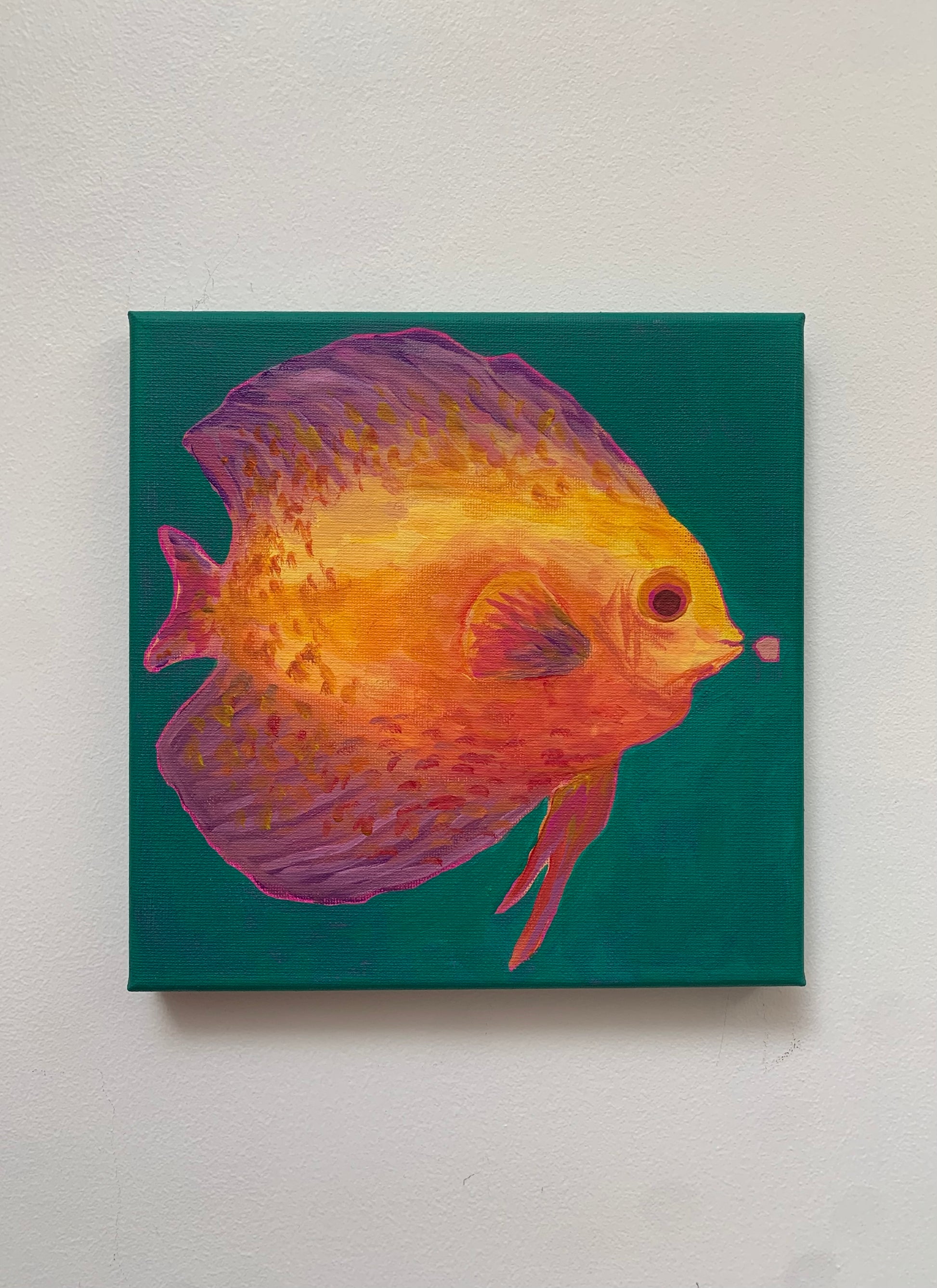 Canvas painting of a colorful fish on a teal background