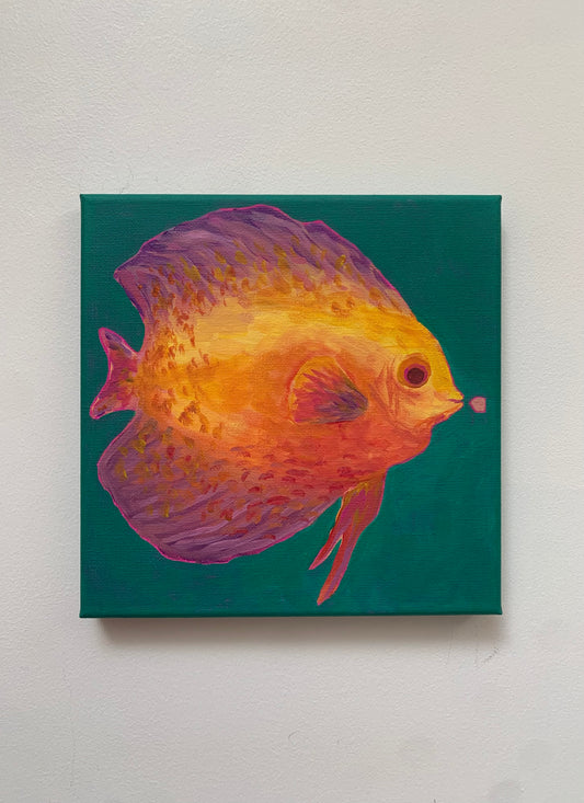 Canvas painting of a colorful fish on a teal background