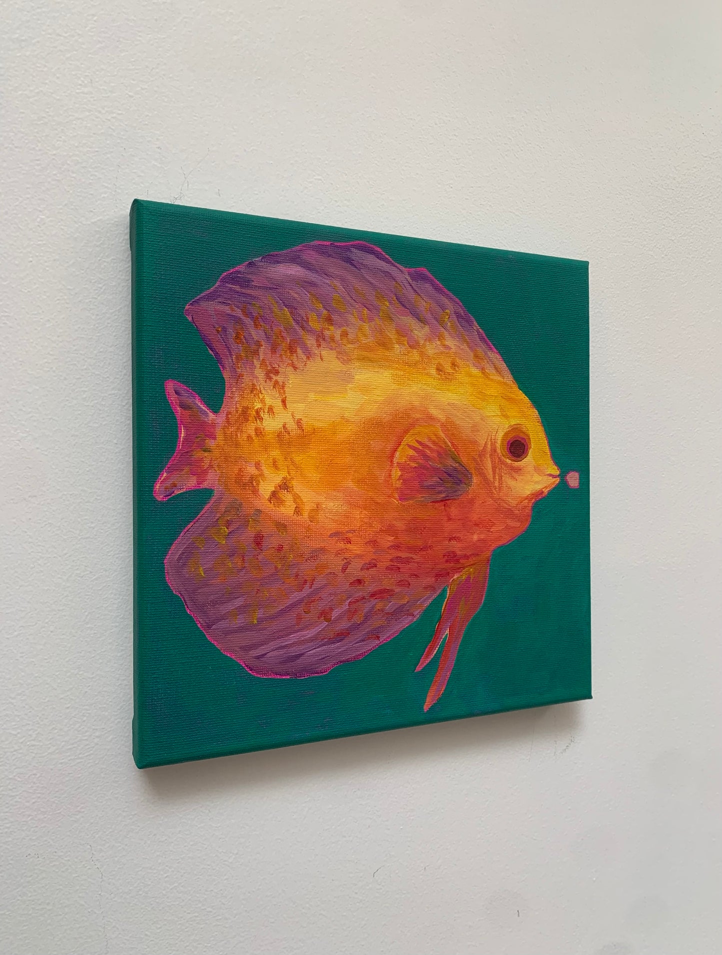 Canvas print of a colorful fish on a teal background
