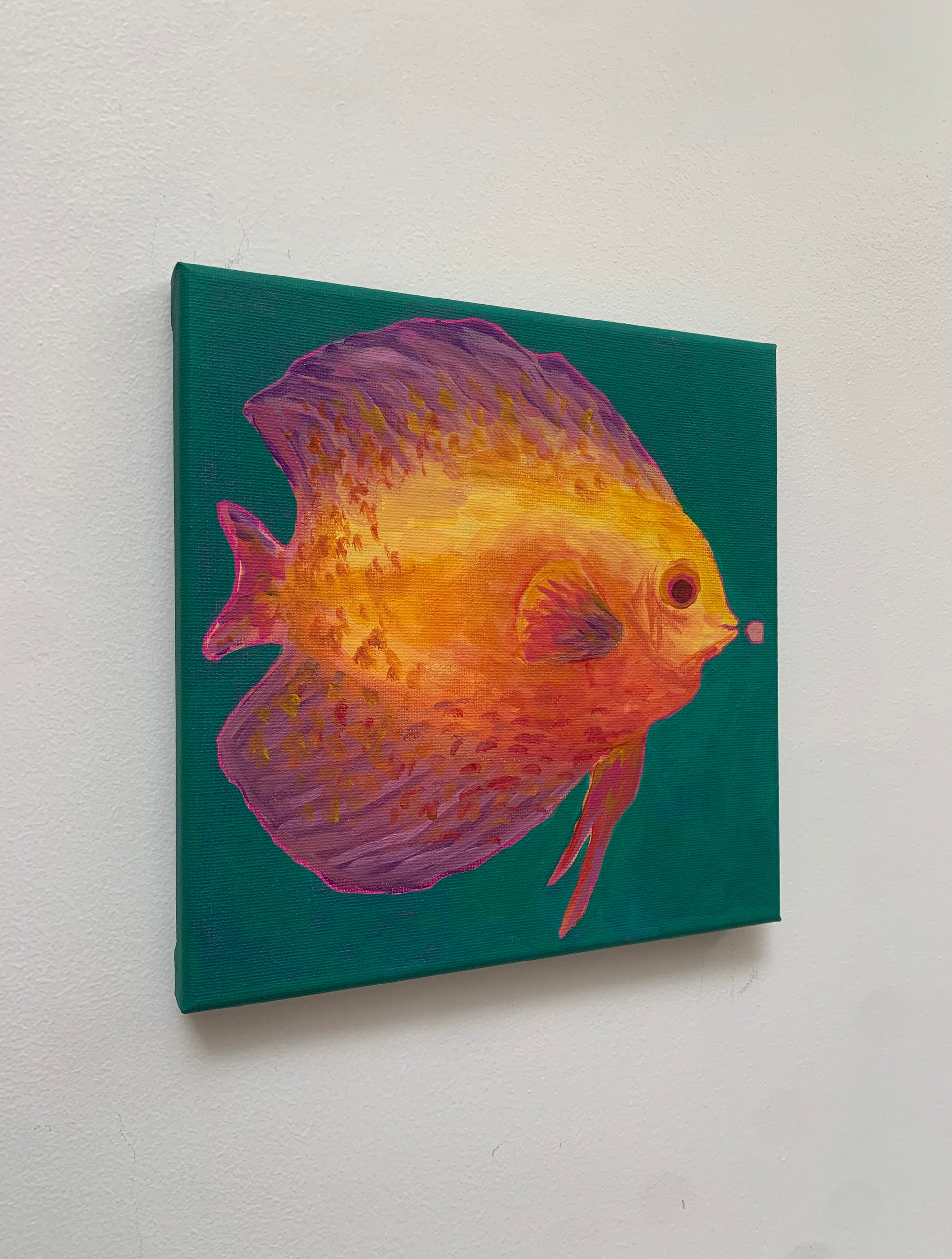 Canvas print of a colorful fish on a teal background