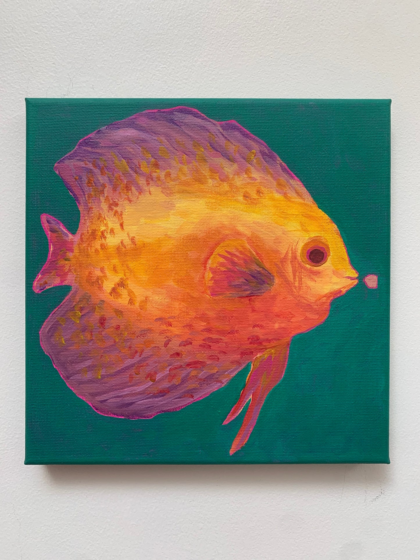 Colorful fish painting on a teal background