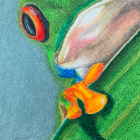 Tropical Frog, 3”x3” Original Drawing